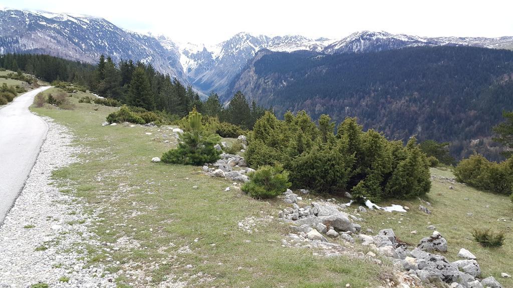 Zabljak City Center Apartments Dış mekan fotoğraf